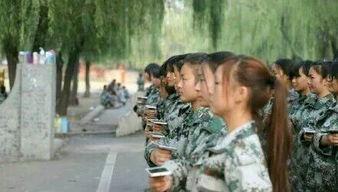 教官所有爆料视频播放,揭秘军事训练幕后真相